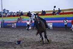 Chetak Festival : चेतक फेस्टिवलमधील अश्व क्रीडा स्पर्धांचा थरार...डोळ्यांचं पारणे फेडणाऱ्या कसरती