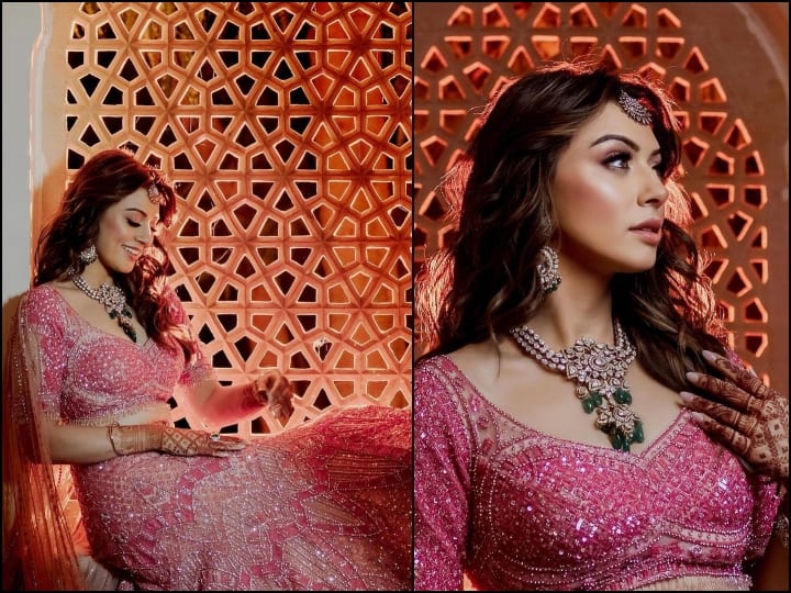 Hansika Motwani Engagement Pics: हंसिका मोटवानी ने अपने लंबे समय के प्रेमी, सोहेल कथुरिया के साथ हाल ही में शादी की है. हंसिका ने अब सगाई की कुछ अनसीन तस्वीरें शेयर की हैं.