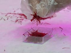 Pune-Based Software Engineer Turns Shipping Container Into Saffron Field Using Aeroponics — IN PICS