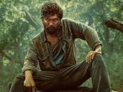 'পুষ্পা'র বর্ষপূর্তি, ছবির সাফল্যে 'সামি সামি' থেকে 'শ্রীভল্লি', প্রত্যেক গানের প্রভাব