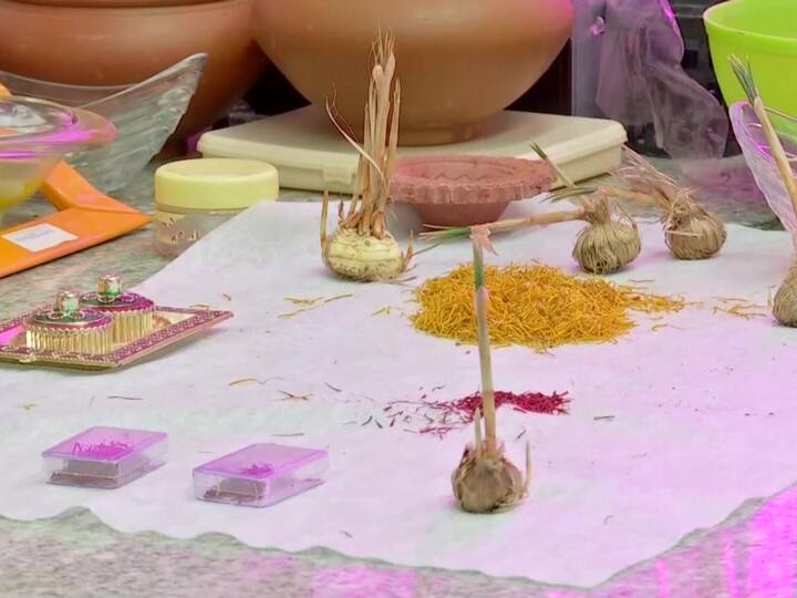 Saffron was grown with the help of premium quality crocus corms/bulbs procured from Pampore in Kashmir. 