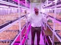 Pune-Based Software Engineer Turns Shipping Container Into Saffron Field Using Aeroponics — IN PICS
