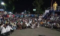 Trichy: திருவெறும்பூரில் மாடு முட்டி சிறுவன் காயம் -  பொதுமக்கள் சாலை மறியல்