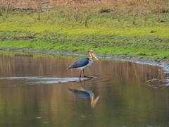 MP News: जबलपुर है घूमने की लिए शानदार जगह, मन मोह लेगी भेड़ाघाट की खूबसूरती, देखें तस्वीरें