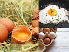 Health Benefits: முட்டை சாப்பிடுவதால் ஏற்படும் நன்மைகள்!