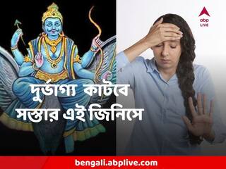 Vastu Tips: শনির দৃষ্টিতে জীবন জেরবার? দুর্ভাগ্য় কিছুতেই কাটছে না ? সস্তা এই জিনিসেই আসবে সৌভাগ্য