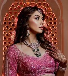 Hansika Motwani : અભિનેત્રીએ શેર કરી સગાઈની વણજોવાયેલી તસવીરો, લાગી રાજકુમારી