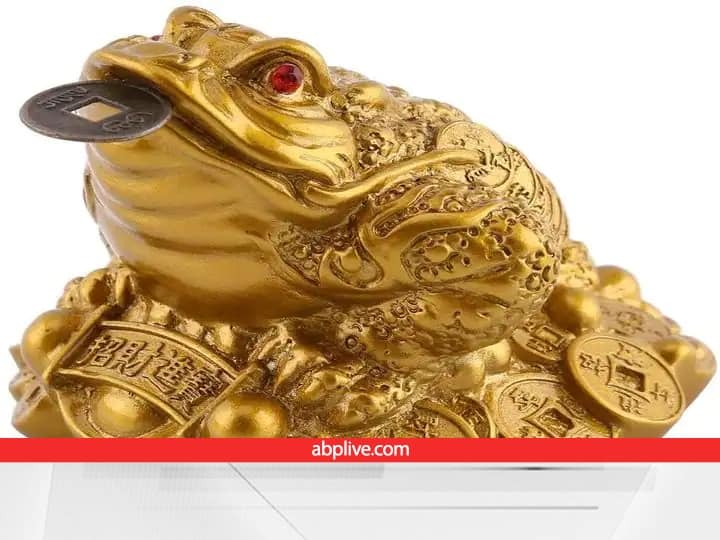 fengshui tips 2023 bring feng shui frog in new year for money luck and prosperity Feng Shui Tips 2023: नए साल से पहले घर में लाएं लकी फेंगशुई मेंढक, हर काम में मिलेगी सफलता