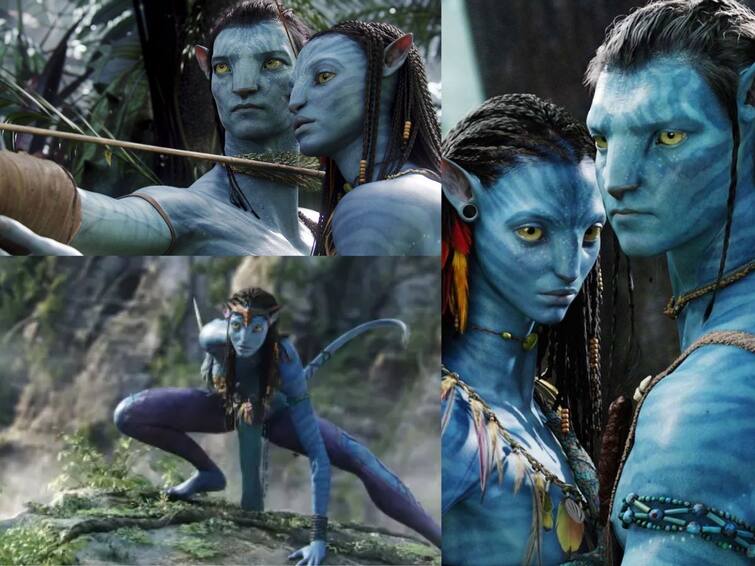 13 Years of Avatar Interesting Facts About James Cameron Avatar Hollywood Movie 13 Years Of Avatar: பாண்டோரா உலகில் இத்தனை அதிசயங்களா...? அவதார் உருவான வரலாறு தெரியுமா..?