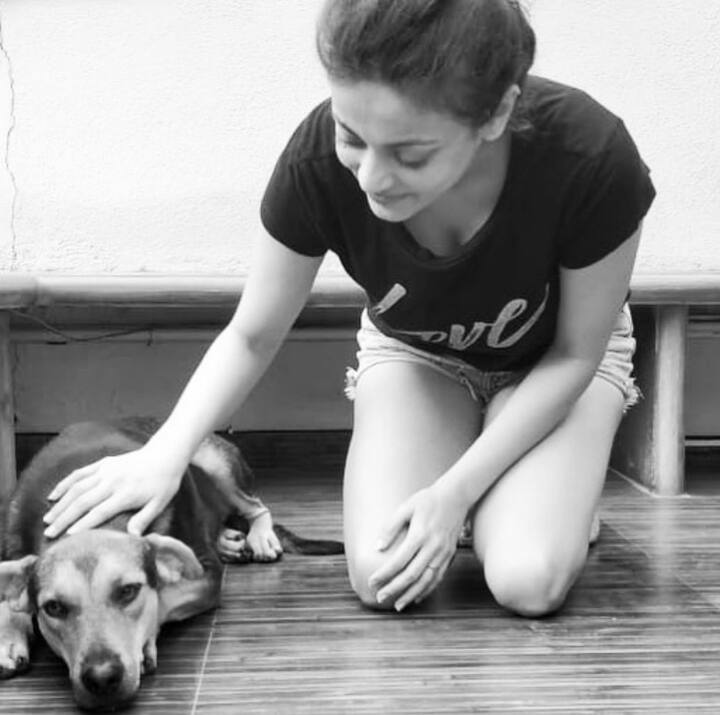 বলিউড অভিনেত্রী স্নেহা উল্লালকে জন্মদিনের শুভেচ্ছা।