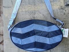 Pune News : पुण्यातील तरुणाचा नाविन्यपूर्ण उपक्रम; कापडी पिशव्यांच्या वापरासाठी अनोखी संकल्पना