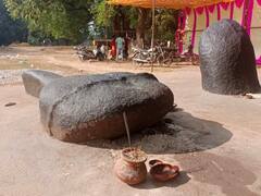 छत्तीसगढ़ के इस जिले में होती है 'व्हेल मछली' की पूजा, क्यों हैं ग्रामीणों की ऐसी आस्था? जानें- यहां