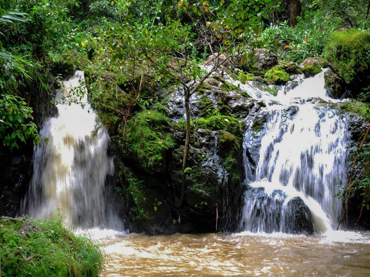 Jharkhand Govt Plans To Promote Ecotourism At 'Queen of Chotanagpur' – All You Need To Know