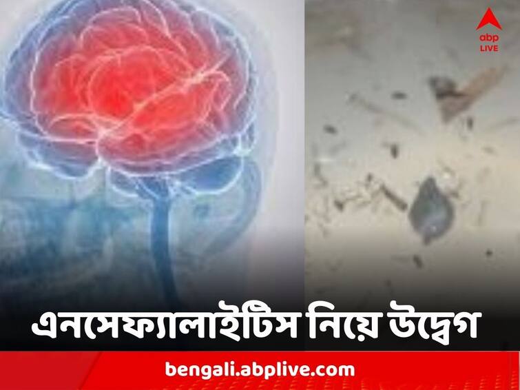 West Bengal Encephalitis increased 7 fold in last 7 months creates concern Encephalitis : শেষ তিন মাসে ৭ গুণ আক্রান্তের সংখ্যা, বাড়ছে মৃত্যু, এনসেফ্য়ালাইটিস নিয়ে রাজ্যে নতুন উদ্বেগ