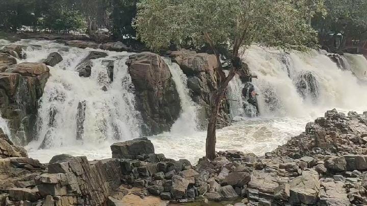 தருமபுரி அரசு பட்டுக்கூடு ஏல அங்காடியில் பட்டுக்கூடு வரத்து மடங்கு அதிகரிப்பு