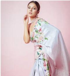 Shehnaaz Gill Saree Look : ਨਵੇਂ ਸਾਲ ਦੀ ਆਫਿਸ ਪਾਰਟੀ ਲਈ ਸ਼ਹਿਨਾਜ਼ ਗਿੱਲ ਦਾ ਇਹ ਸਾੜੀ ਲੁੱਕ ਇਕਦਮ ਪਰਫੈਕਟ