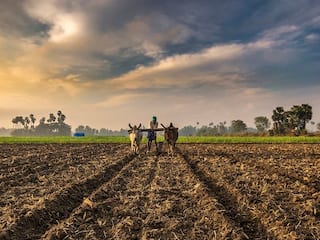 Agriculture : ખેડૂતોએ પોતાની આવક કરવી છે ડબલ? તો અપનાવો આ રીત