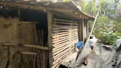 পারিবারিক অশান্তিতে আক্রোশ! সাতসকালে স্কুলশিক্ষকের বাড়িতে বিস্ফোরণ ঘিরে চাঞ্চল্য