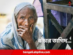 দারিদ্র-যুদ্ধ-দুর্যোগ জন্ম দিচ্ছে লক্ষ লক্ষ পরিযায়ীর, তাঁদের জন্যই রয়েছে একটি গোটা দিন