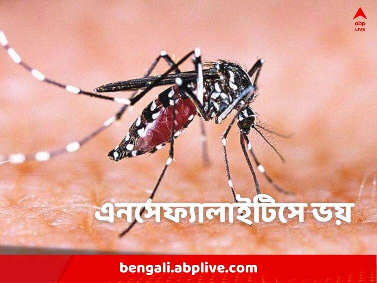 Among dengue, malaria, mosquito-borne encephalitis is a growing concern Encephalitis: ডেঙ্গির মাঝেই বাড়ছে এনসেফ্যালাইটিস, কেন্দ্রীয় রিপোর্টে বাড়ছে উদ্বেগ