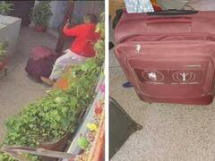 Jaipur Man Kills Aunt, Chops Her Body Into Pieces To Dump Across City