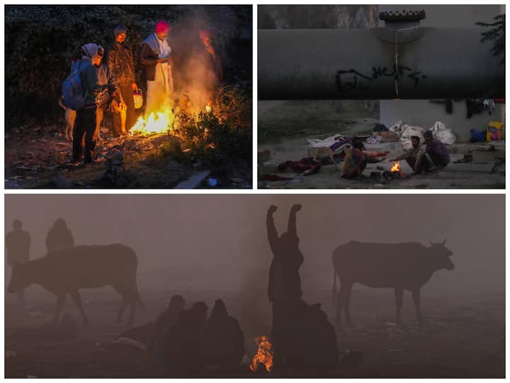 Homeless people battle the cold as the winter season intensifies in Delhi.