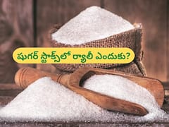 తీపి తగ్గని షుగర్‌ స్టాక్స్‌, స్వీట్‌ ర్యాలీతో ఇన్వెస్టర్లు ఫుల్‌ ఖుషీ