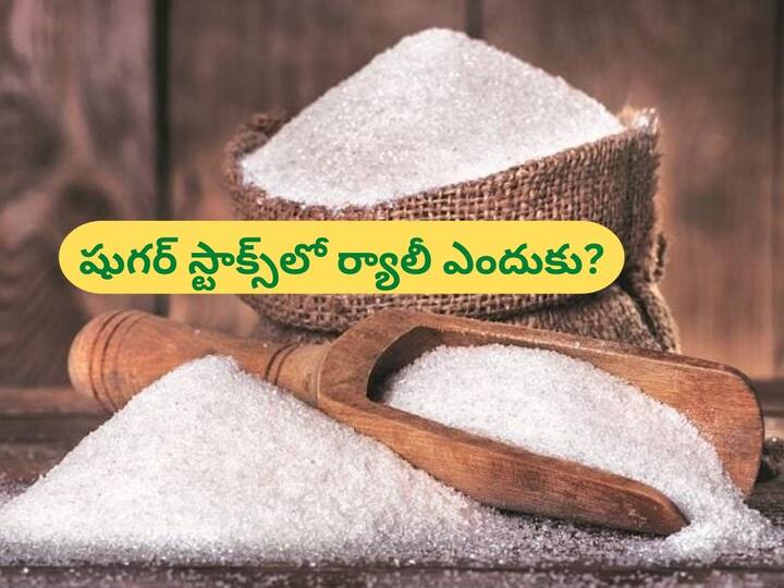 Shares of Sugar Companies on roll Dalmia Dhampur Rajshree Sakthi zoom up to 20% percent, Check In Detail Sugar Companies Shares: తీపి తగ్గని షుగర్‌ స్టాక్స్‌, స్వీట్‌ ర్యాలీతో ఇన్వెస్టర్లు ఫుల్‌ ఖుషీ