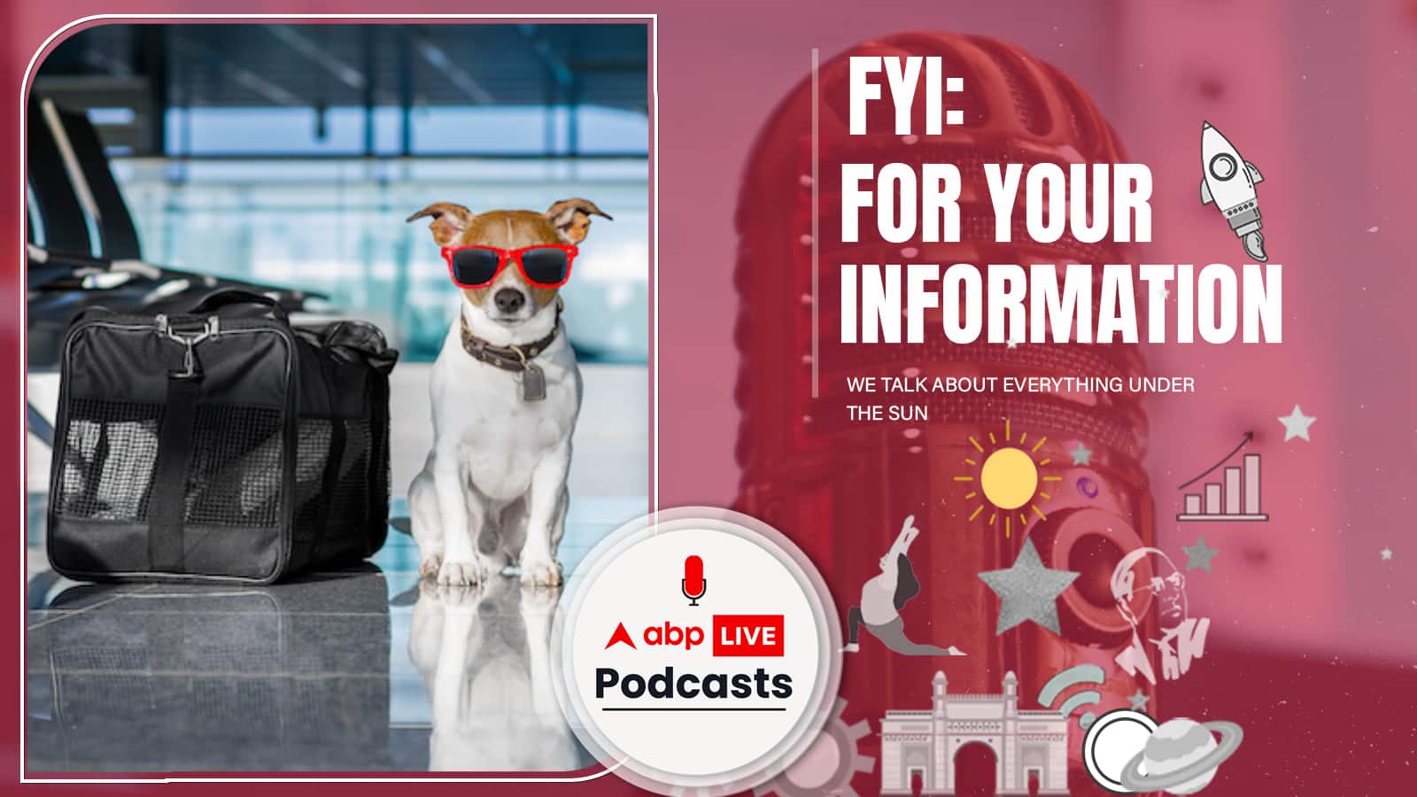 प्लेन में Pets ले जाने से पहले जानें Airline Rules और Process | FYI