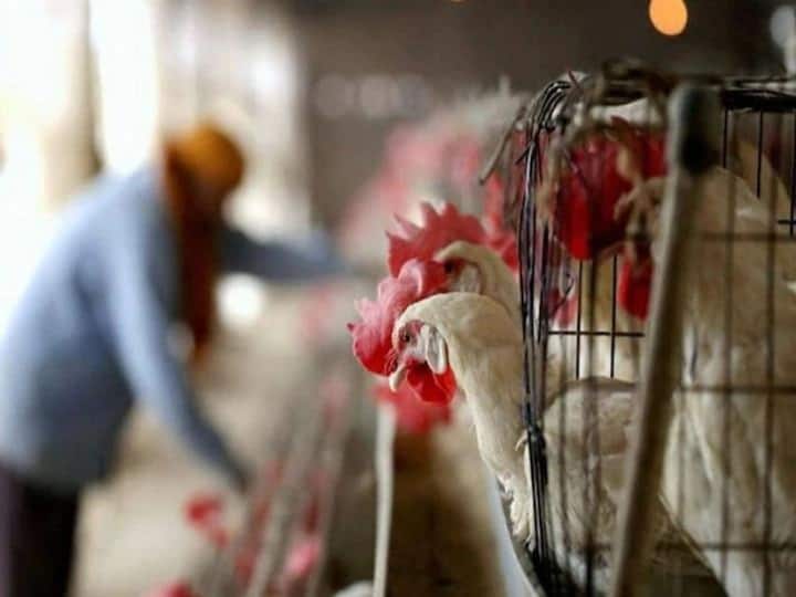 Ban Halal Meat Karnataka Government may bring bill in assembly, Congress objected Ban Halal Meat: ఆ రాష్ట్రంలో హలాల్‌ మాంసంపై నిషేధం, చట్టం చేయనున్న ప్రభుత్వం!
