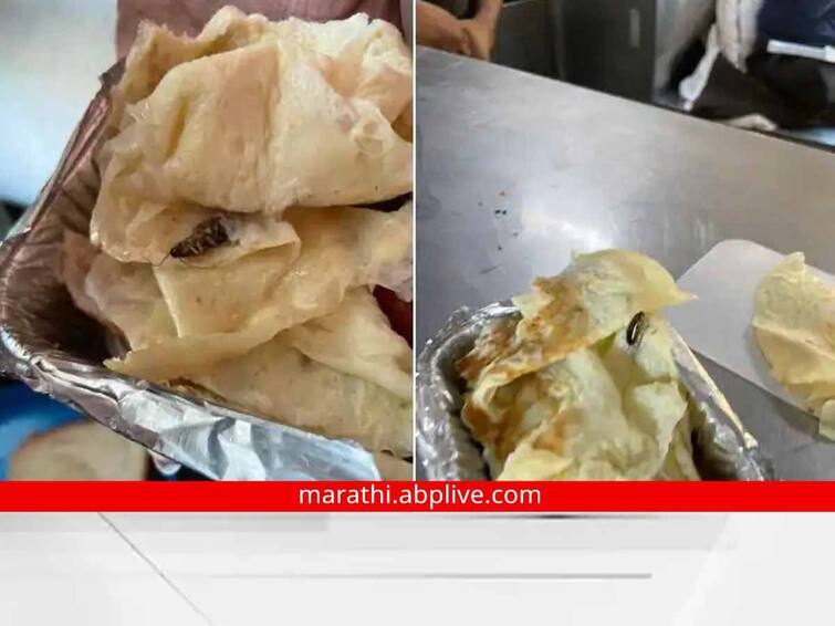 Viral News Indian Railways Cockroach found in food at Rajdhani Express marathi news Trending News : रेल्वे प्रशासनाचा निष्काळजीपणा! राजधानी एक्स्प्रेसमध्ये जेवणात आढळलं झुरळ; नेटकऱ्यांकडून संताप व्यक्त