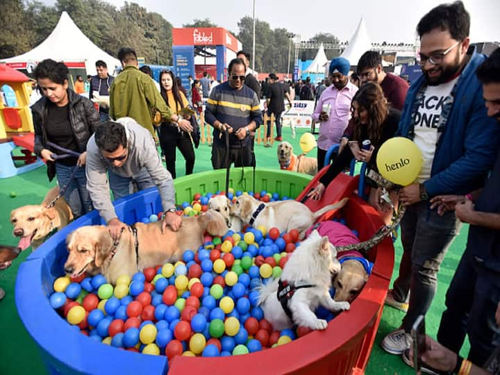 Pet Fed, a renowned pet festival, is returning after three years, with a dedicated play zone for dogs and cats, as well as over 150+ vendors from across the world.