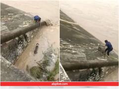 जान जोखिम में डाल शख्स ने बचाई कुत्ते की जान, हैरान कर देगा वीडियो