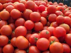 Delhi News: दिल्ली वालों के लिए लूट ऑफर! ताजी हरी सब्जियों की कीमत सुनकर उड़ जाएंगे होश