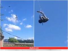 जब मकड़ी ने हवा में ही अपने जाल से बनाया अजगर को शिकार... पूरा सीन कैमरे में कैद हुआ! देखें वीडियो