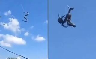 Shocking Video: ਮੱਕੜੀ ਨੇ ਕੀਤਾ ਅਜਗਰ ਦਾ ਸ਼ਿਕਾਰ, ਜਾਲ ਵਿੱਚ ਫਸਾ ਕੇ ਘੁੱਟਿਆ ਉਸ ਦਾ ਦਮ