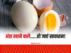 सर्दियों में अंडा खाने वाले हो जाएं सावधान...बाजार में आज चुका है रबड़ का अंडा, कैसे पहचानें देसी है या नहीं