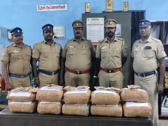 நெல்லையில் தொடரும் 3.0 கஞ்சா வேட்டை - ஆங்காங்கே பறிமுதல் செய்யப்படும் புகையிலை பொருட்கள்