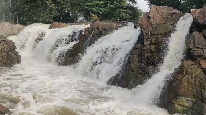 அரூரில் இருந்து  நடைபயணமாக சபரிமலைக்கு சென்ற ஐயப்பன் பக்தர்கள்