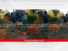 Aurangabad: अवघ्या 40 पैसे किलोचा भाव मिळाल्याने टोमॅटो रस्त्यावर फेकून देण्याची वेळ