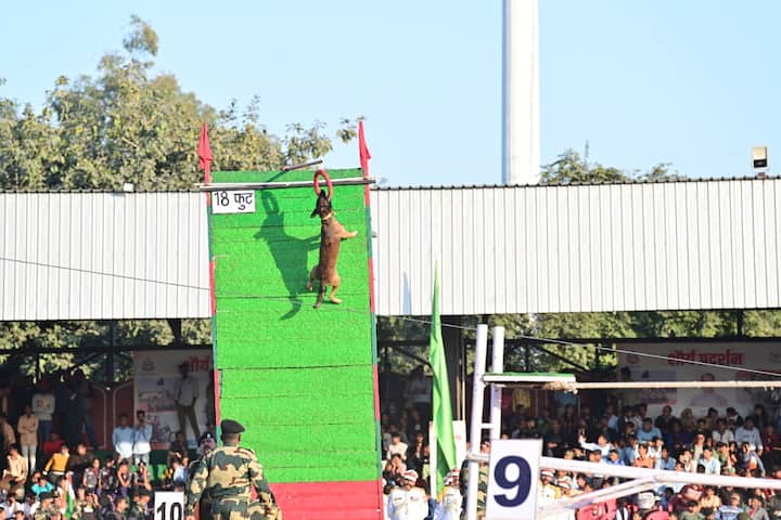 सीमा भवानी के नाम से विश्वविख्यात इन महिला प्रहरियों ने मोटरसाइकिल पर सवार होकर एक के बाद एक ऐसे हैरतअंगेज स्टंट दिखाए कि लोग पलकें तक झपकाना भूल गए. आग के गोले में बंधी ट्यूबलाइट्स को तोड़ते हुए निकल जाना, चलती मोटरसाइकिल पर बंधी 6 फीट से ऊंची सीढ़ी पर पलक झपकते ही चढ़ जाना, उलटा बैठकर और लेट का मोटरसाइकिल चलाना, मोटरसाइकिल की सीट पर खड़े होकर व्यायाम करना, मोटरसाइकिल को तेजी से दौड़ाते हुए अपने कंधे पर एक और जवान को बैठाना समेत अनेक ऐसे करतब थे जिन्हें देख कर लोग हतप्रभ रह गए.