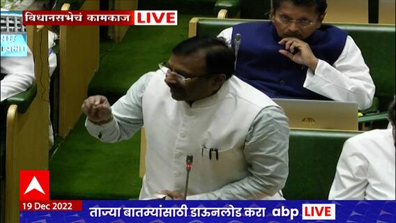 Sudhir Mungantiwar : राज्यपालांच्या मुद्द्यावरुन, सुधीर मुनगंटीवारांचा अशोक चव्हाणांवर हल्लाबोल