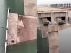 Begusarai Bridge Collapse: ప్రారంభించక ముందే కూలిపోయిన వంతెన, వైరల్ అవుతున్న వీడియో
