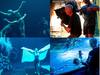 Avatar 2 BTS : அடேங்கப்பா..வைரலாகும் அவதார் படப்பிடிப்பின் போது எடுக்கப்பட்ட புகைப்படங்கள்!