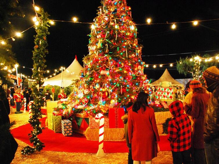 Christmas 2022 Best Places to Celebrate in India During Xmas Christmas 2022 : வந்தாச்சு கிறிஸ்துமஸ்..இதுதான் கொண்டாட்டத்திற்கு பேர்போன இடங்கள்.. முடிஞ்சா கெளம்பிடுங்க..