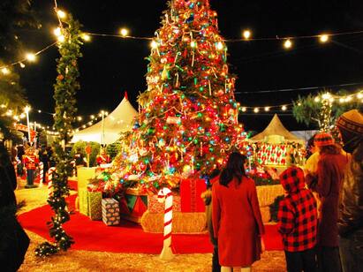 Christmas 2022 Best Places to Celebrate in India During Xmas Christmas 2022 : வந்தாச்சு கிறிஸ்துமஸ்..இதுதான் கொண்டாட்டத்திற்கு பேர்போன இடங்கள்.. முடிஞ்சா கெளம்பிடுங்க..