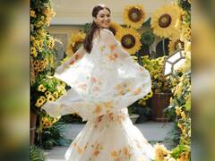 Hansika Motwani: हंसिका मोटवानी के हल्दी की सामने आईं फोटोज, एक्ट्रेस पर प्यार लुटाते नजर आए सोहेल कथूरिया