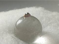 उदयपुर में बना विश्व का सबसे छोटा 'गोल्डन जूता', राई के दाने जितना है साइज