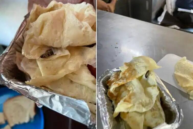 Viral News Indian Railways Cockroach found in food at Rajdhani Express Viral News: ਰੇਲਵੇ ਦੀ ਵੱਡੀ ਲਾਪਰਵਾਹੀ... ਰਾਜਧਾਨੀ ਐਕਸਪ੍ਰੈਸ 'ਚ ਖਾਣੇ 'ਚ ਮਿਲਿਆ ਕਾਕਰੋਚ, ਫੋਟੋ ਵਾਇਰਲ