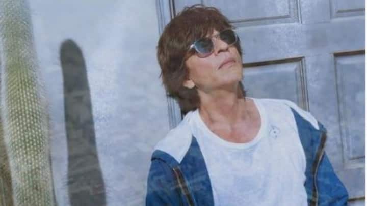 বছরচারেক পর ফের বড়পর্দায় দেখা যাবে শাহরুখ 'বাদশা' খানকে। অধীর অপেক্ষায় ভক্তরা। এর মধ্যেই 'পাঠান